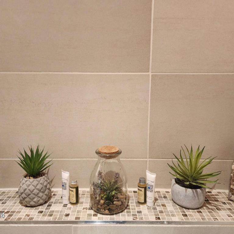 Appartement T2 en plein centre de Fréjus - Apartment mit 1 Schlafzimmer - 16