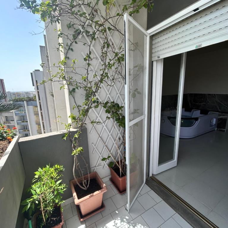 Panorama - King Room with Spa Bath - 24