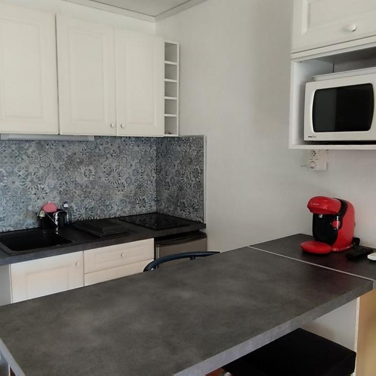 Appartement centre port Cap d'Agde - Apartamento de 1 dormitorio - 5