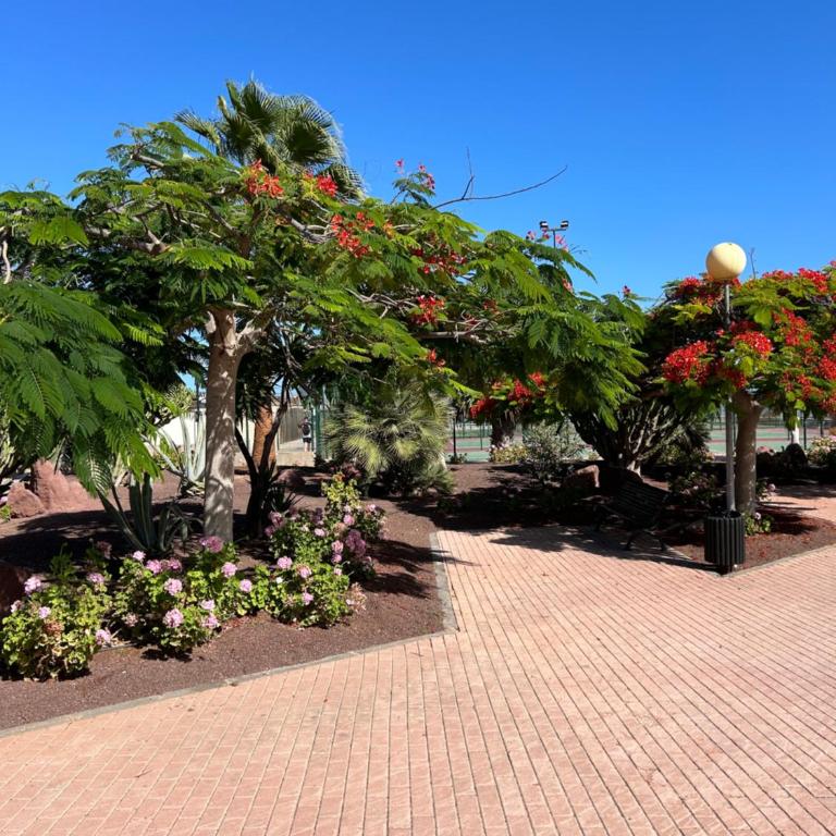 Honey Bunch - One-Bedroom Apartment - 28