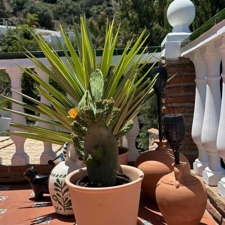 Villa Jina - Casa de 3 dormitorios - 99