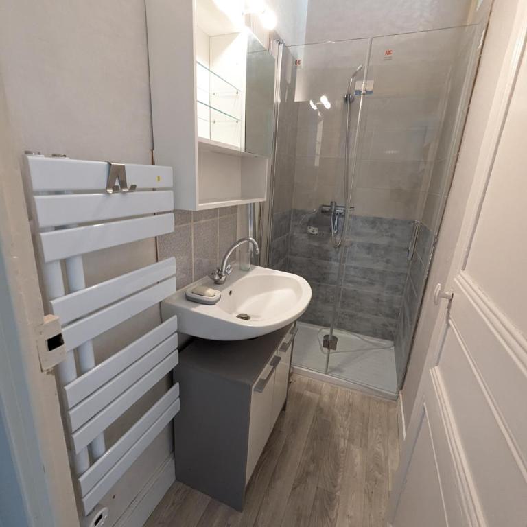 Grands Studios Maillochon accès Gare de Poitiers et Centre ville à Pieds - Appartement 1 Chambre - 9