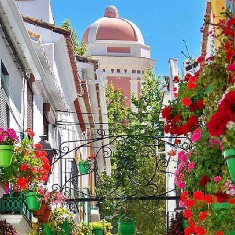 Valle Romano GOLF CAPITOLIO ESTEPONA - Apartamento de 2 dormitorios - 25