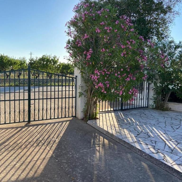 La casa degli ulivi - Casa con 3 Camere da Letto - 7