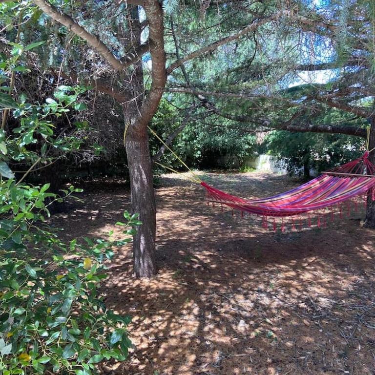 La casa degli ulivi - Casa con 3 Camere da Letto - 9