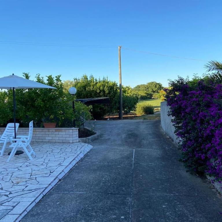 La casa degli ulivi - Casa con 3 Camere da Letto - 35