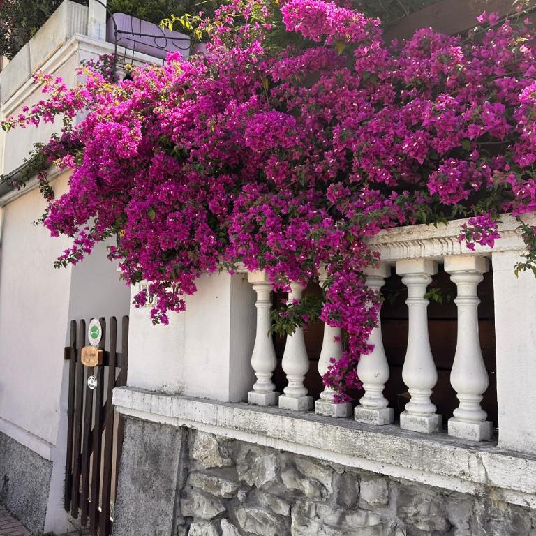 "La Moggia Guest House" - Ferienhaus - 40