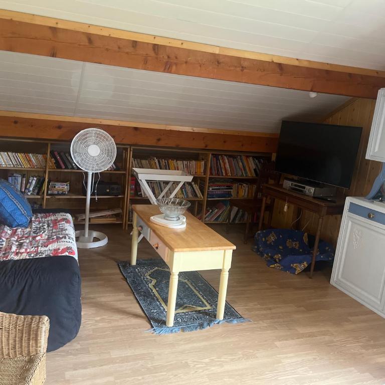 studio des perce neige - Appartement 1 Chambre - 9