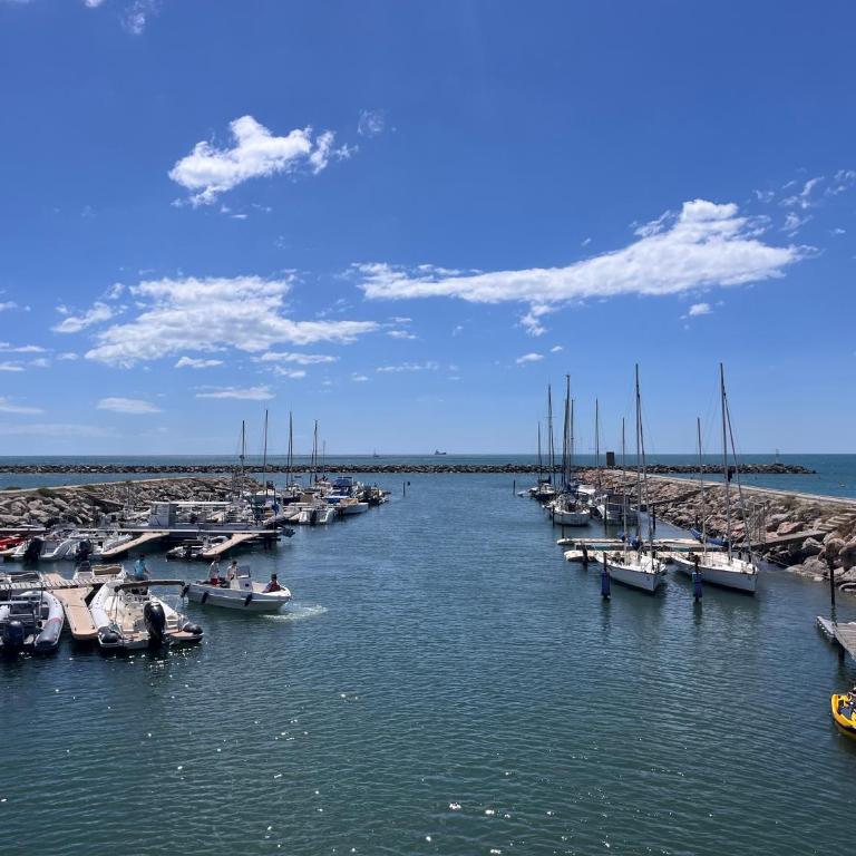 Votre Pied-à-Terre en Bord de Mer - Appartement 1 Chambre - 2