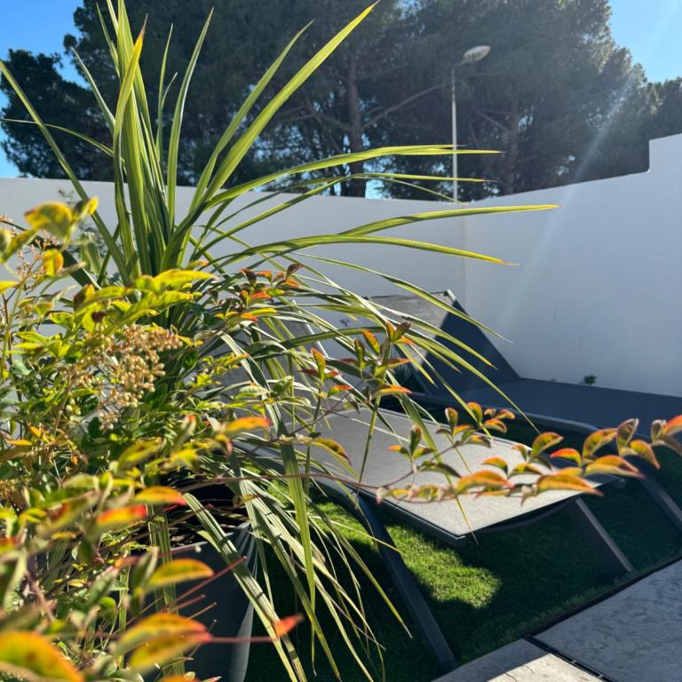 Villas Ambiance 21 Elégance Méditerranéenne à Portiragnes entre Terre et Mer Villa Séréna - Villa 2 Chambres - 16
