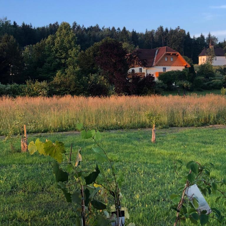 Apartment Gartenblick - Apartment mit Gartenblick - 14