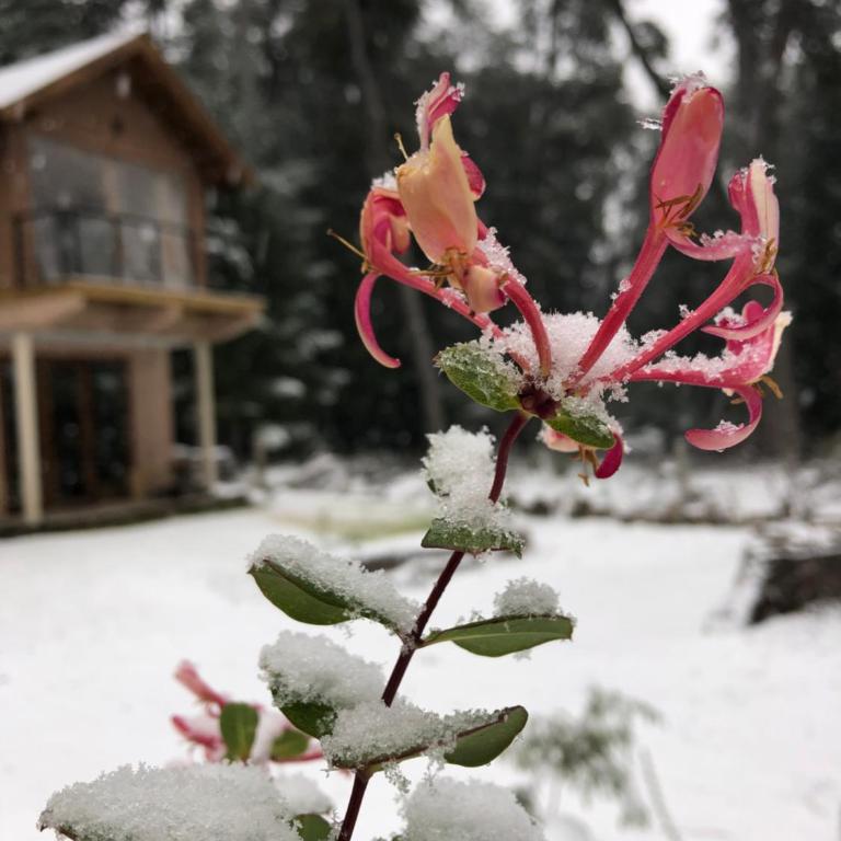 CasaSurPB - 37 Robles - Apartamento de 1 dormitorio - 11