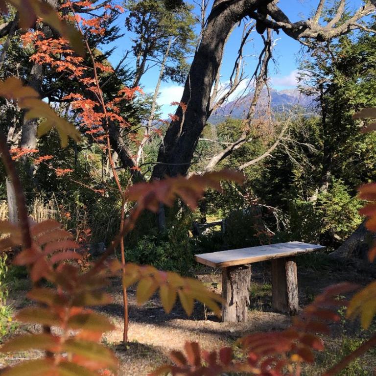 CasaSurPB - 37 Robles - Apartamento de 1 dormitorio - 18