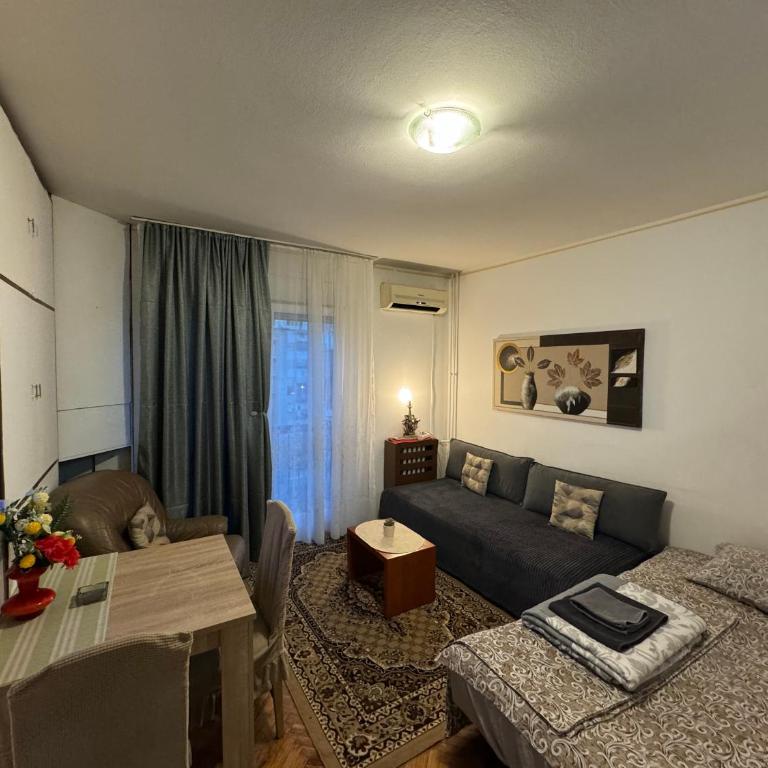 Apartment Dorcol Belgrade - Studio Apartman - 2