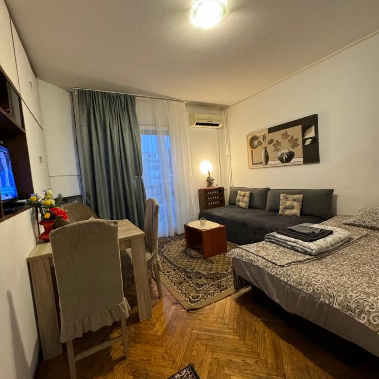 Apartment Dorcol Belgrade - Studio Apartman - 5