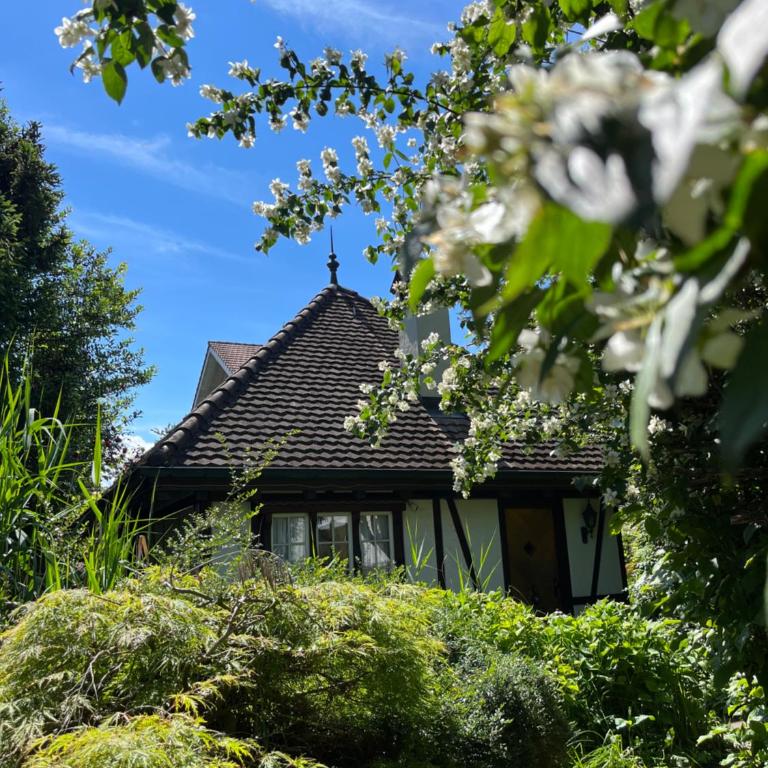 Boutique B21 - Haus mit 1 Schlafzimmer - 1