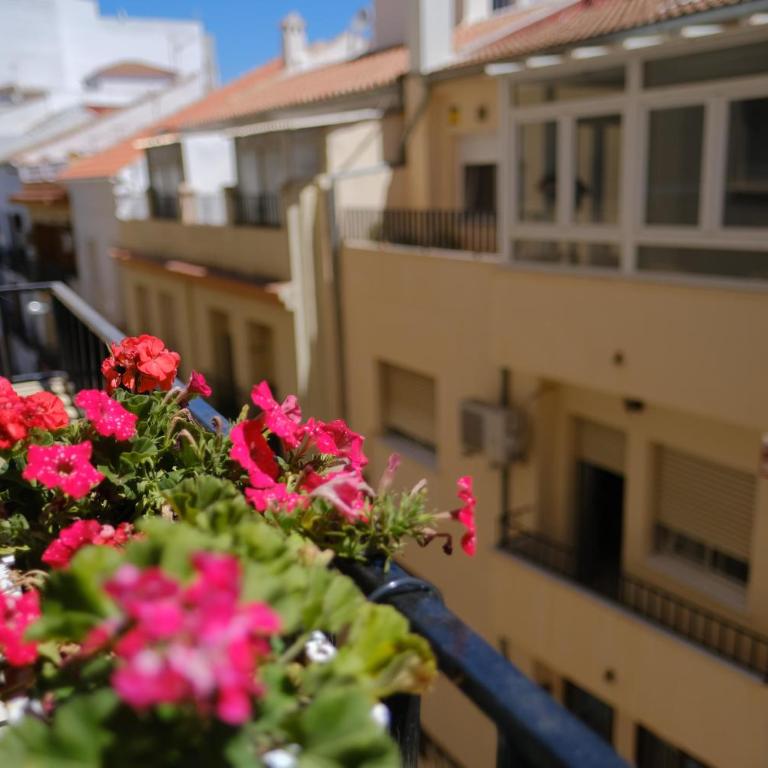 Apartamento Acagua - Apartamento de 2 dormitorios - 21