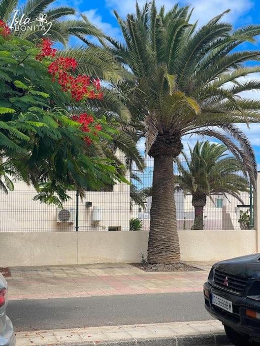 B-Rent Alisios 51 "Crispy sunny" - Apartamento de 1 dormitorio con terraza - 23