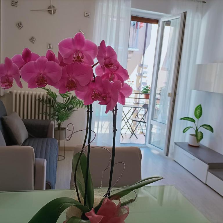 Apartment Jessy - Appartamento con 2 Camere da Letto - 8