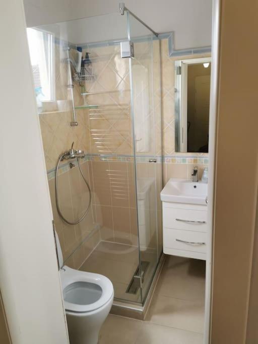 Vesna's apartment - Apartman sa 2 Spavaće Sobe - 17