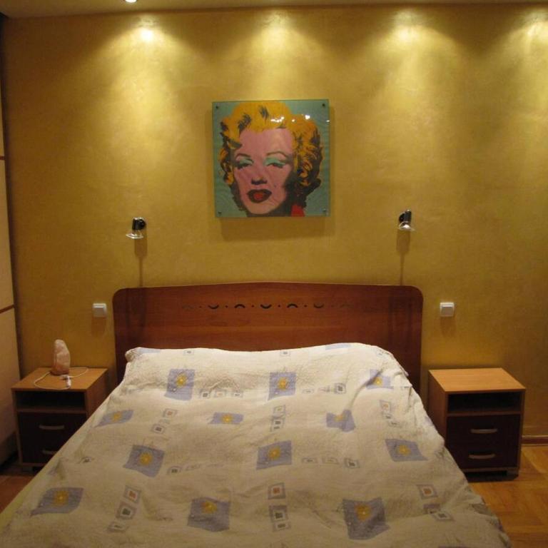 Central Belgrade apartment with jacuzzi bath - Apartman sa 1 Spavaćom Sobom - 8