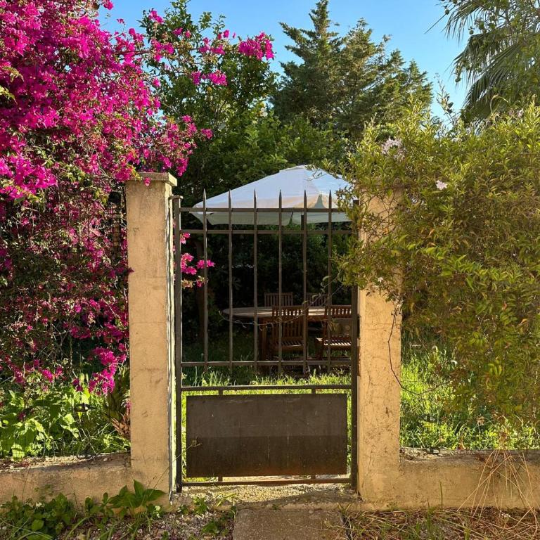 STUDIO dans Villa à Nice Ouest - Apartment mit 1 Schlafzimmer - 11