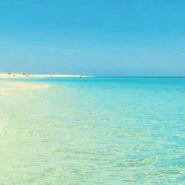 Blue Beach - Apartamento de 1 dormitorio - 19