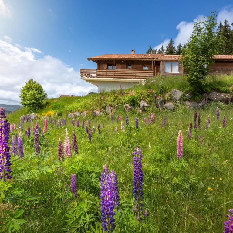 Chalet Dyna, luxe, calme et sérénité - Chalet - 1