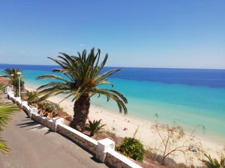 Blue Beach - Apartamento de 1 dormitorio - 17