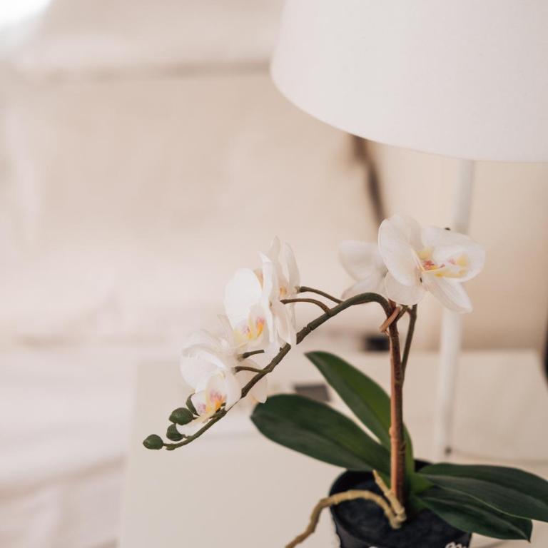 Crown Central three bedroom Apartment - Apartman sa 3 Spavaće Sobe - 9