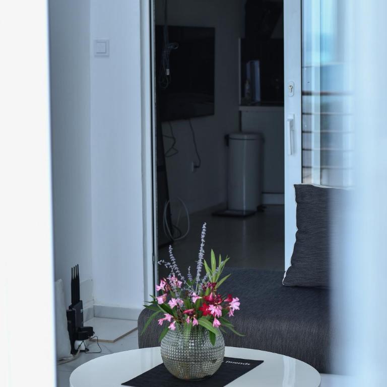 La splendida - One-Bedroom Apartment - 4