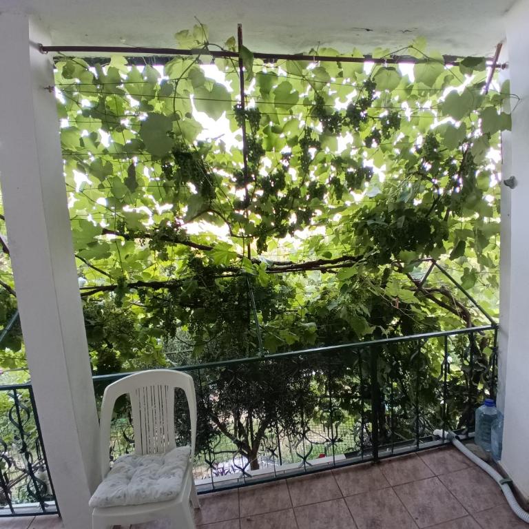 Zagradge I.N. apartments - Apartman sa Pogledom na More - 35