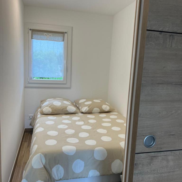 Belle vue - Apartamento de 1 dormitorio - 2