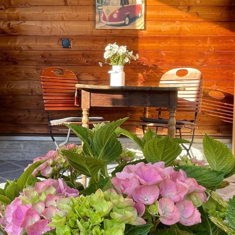 Tinyhouse Style - Apartment mit 1 Schlafzimmer - 22