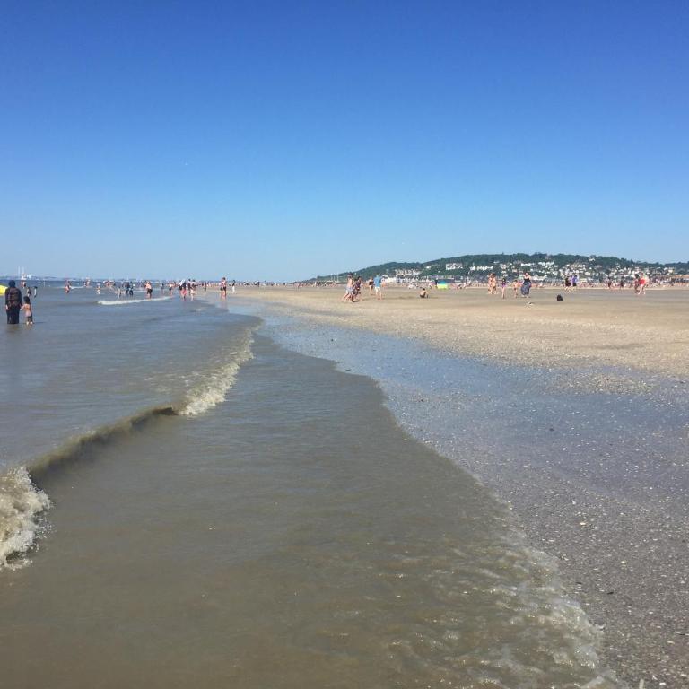 Deauville vue port centre ville - Apartamento de 2 dormitorios - 3