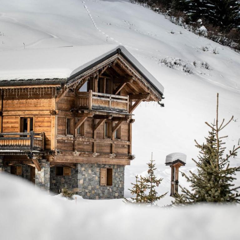 Les Chalets Du Cocoon - CHALET MONT BLANC MAE-1611 - Chalet - 1
