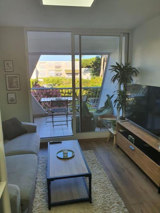 Appartement pour 1 à 4 Pers Terrasse et Parking - Studio Supérieur - 16