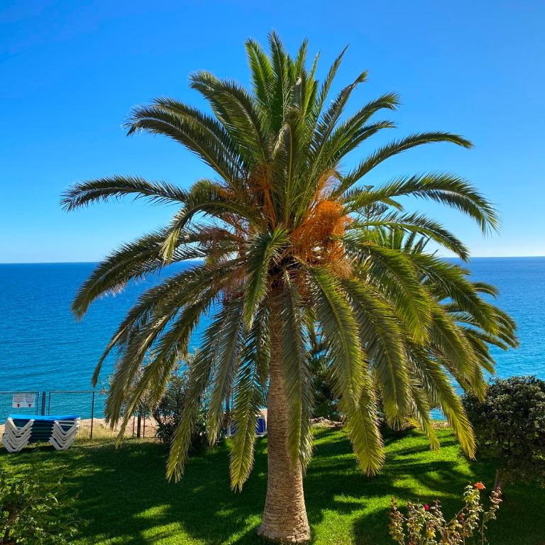Tuhillo E1 Seaview Apartments Casasol - Apartamento con vistas al mar - 26
