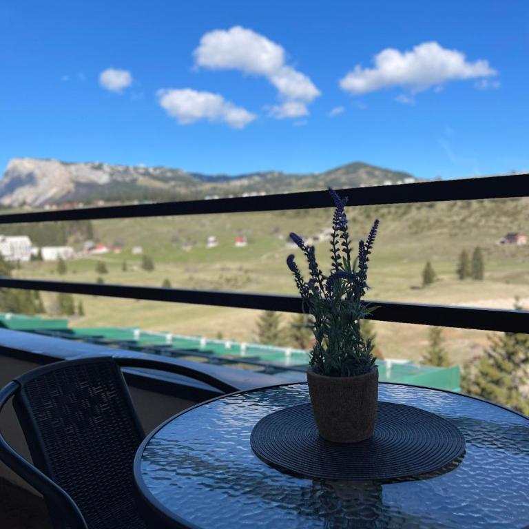 Cozy lux mountain apartment - Apartman sa 1 Spavaćom Sobom - 20