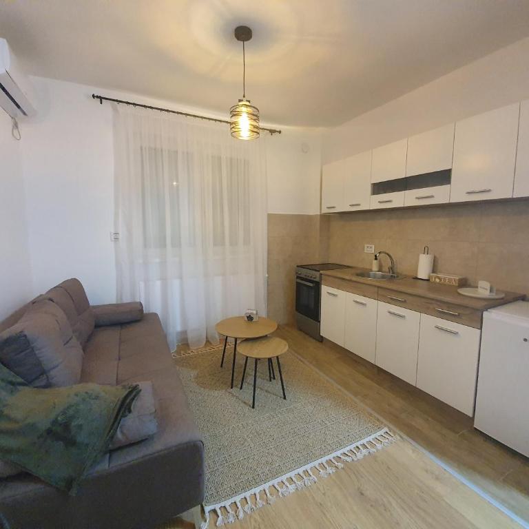 Apartman Lazić - Apartman sa 1 Spavaćom Sobom - 7