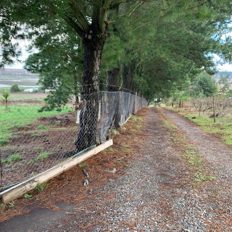 Casa de campo con tinaja en Los Ángeles - Casa de 3 dormitorios - 28