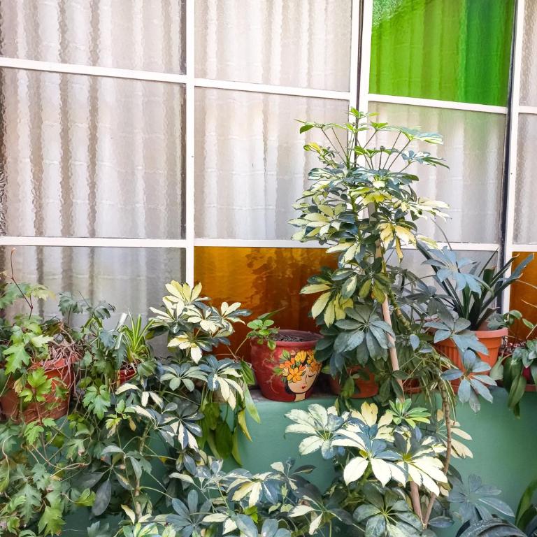 Casa Coronel - Casa Vacacional de 3 dormitorios - 32