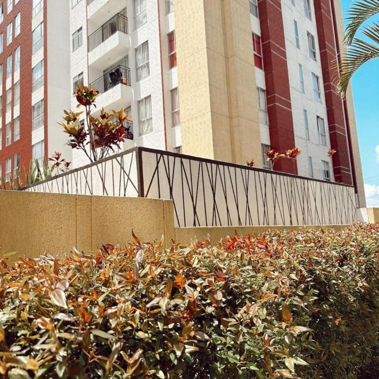 Apartamento Amoblado Cibeles - Apartamento de 2 dormitorios - 35