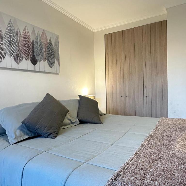 Departamento Pucon vista al Volcán - Apartamento de 3 dormitorios - 4