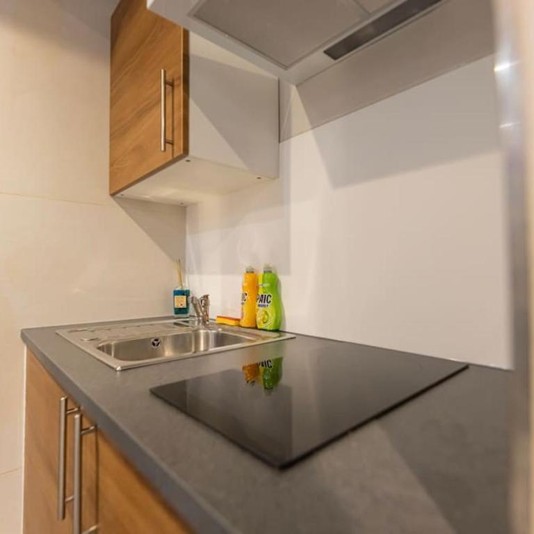 Laissepassetemps - Apartamento de 1 dormitorio - 15