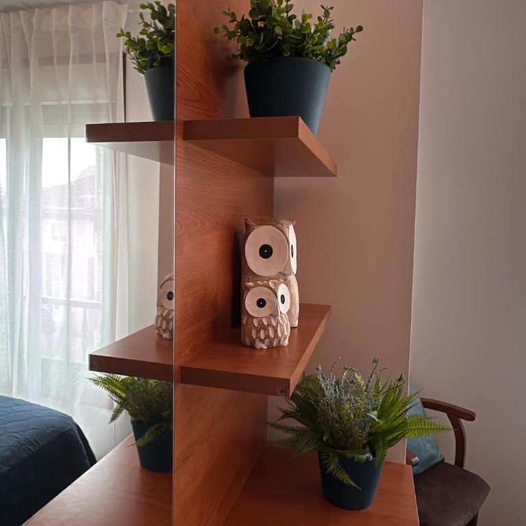 Alicia Home - Apartamento de 2 dormitorios - 4
