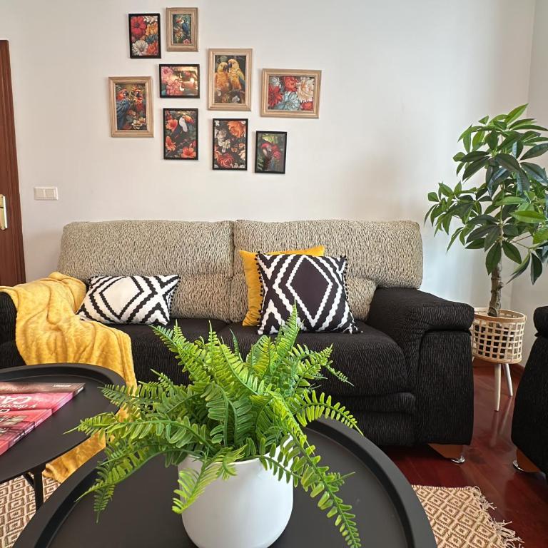 Alicia Home - Apartamento de 2 dormitorios - 13
