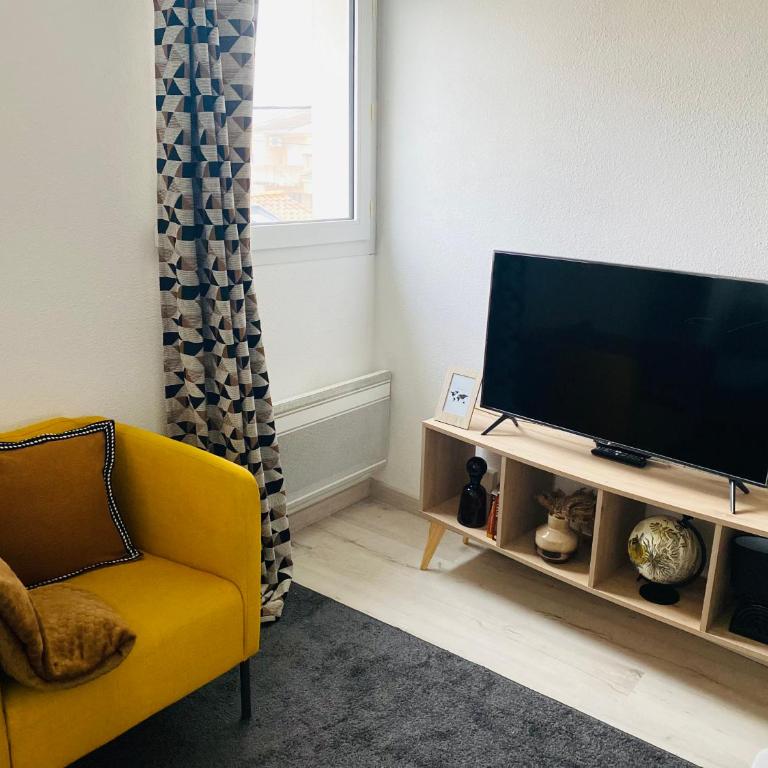 Superbe studio proche hôpital et centre ville - Appartement 1 Chambre - 4