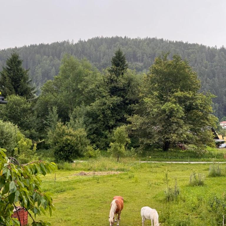 Ferienwohnung, nahe dem Faaker See - Apartment mit 1 Schlafzimmer - 33