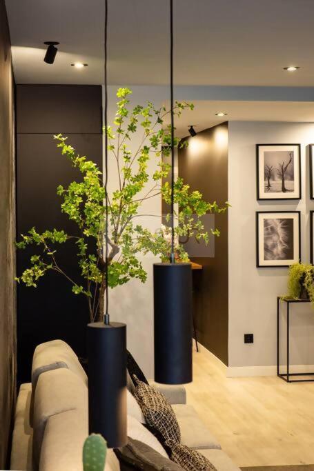 El Bosque Del Puerto By Silastur - Apartamento de 2 dormitorios - 43
